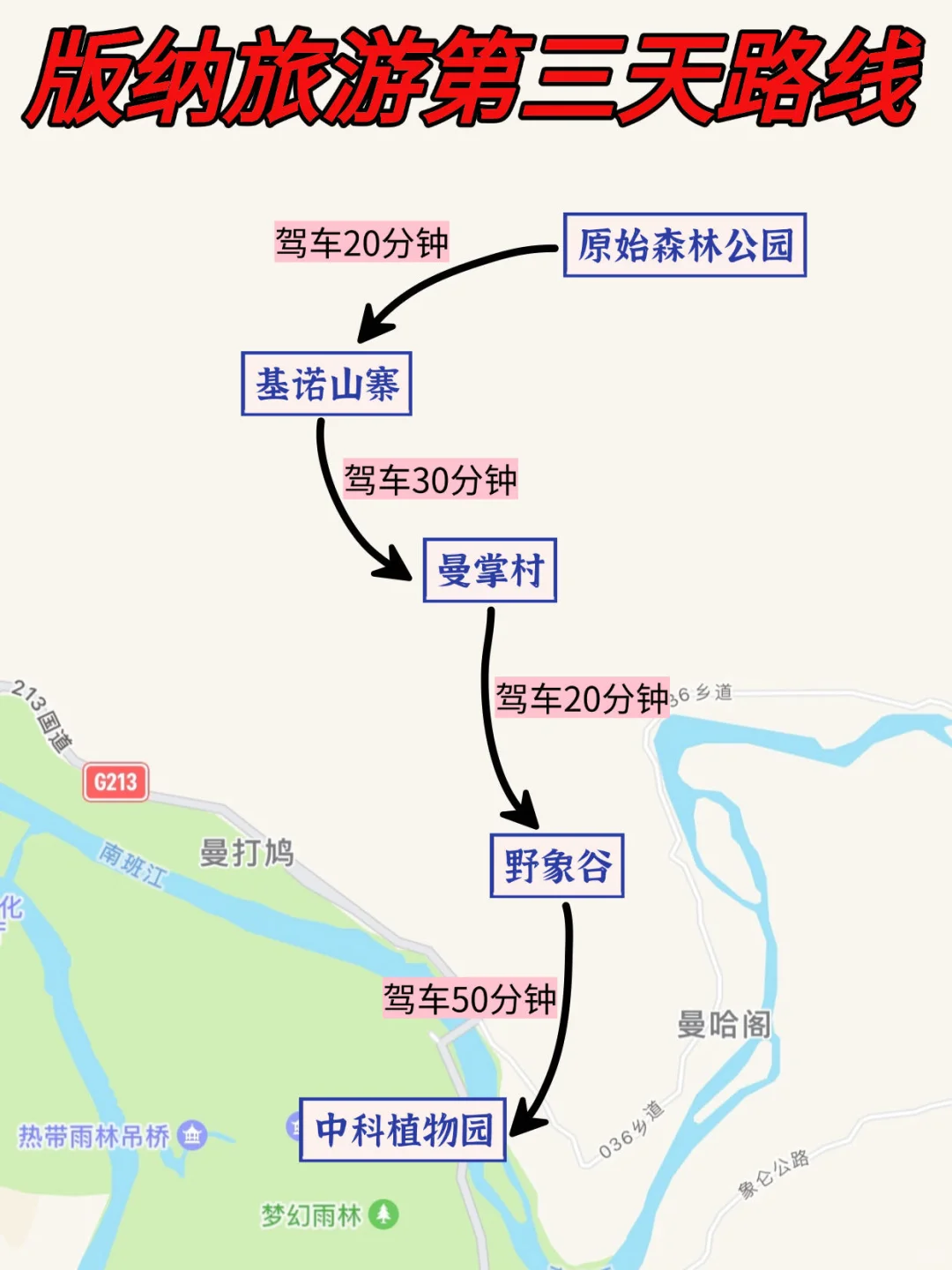 版纳旅游看这一篇就够了🔥附详细攻略