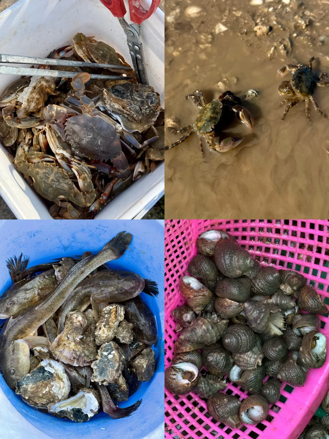 说江苏海不蓝的,你肯定没去过连云港‼️