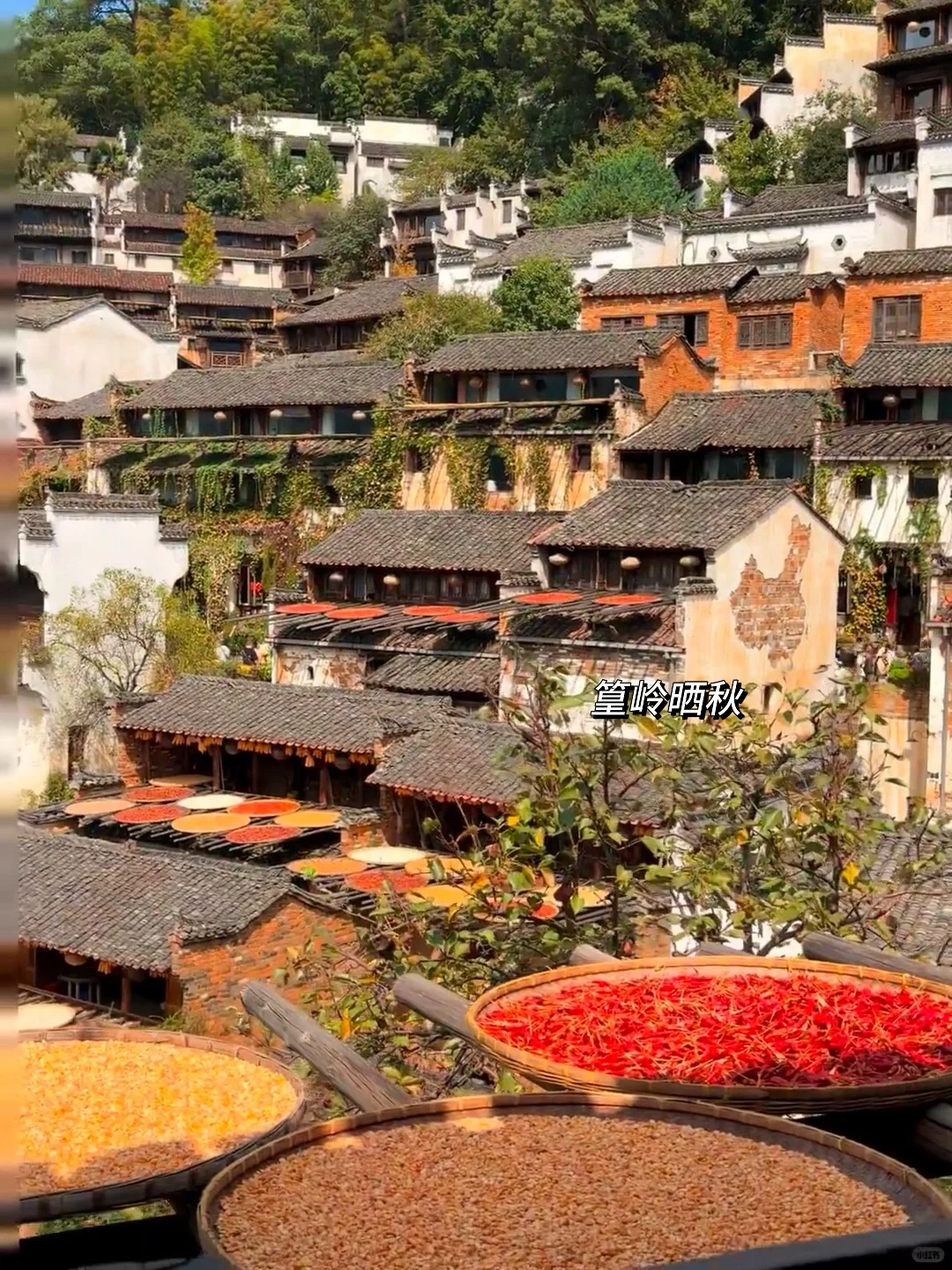 《国家地理》没骗人😭11~12月去徽州赏秋绝了