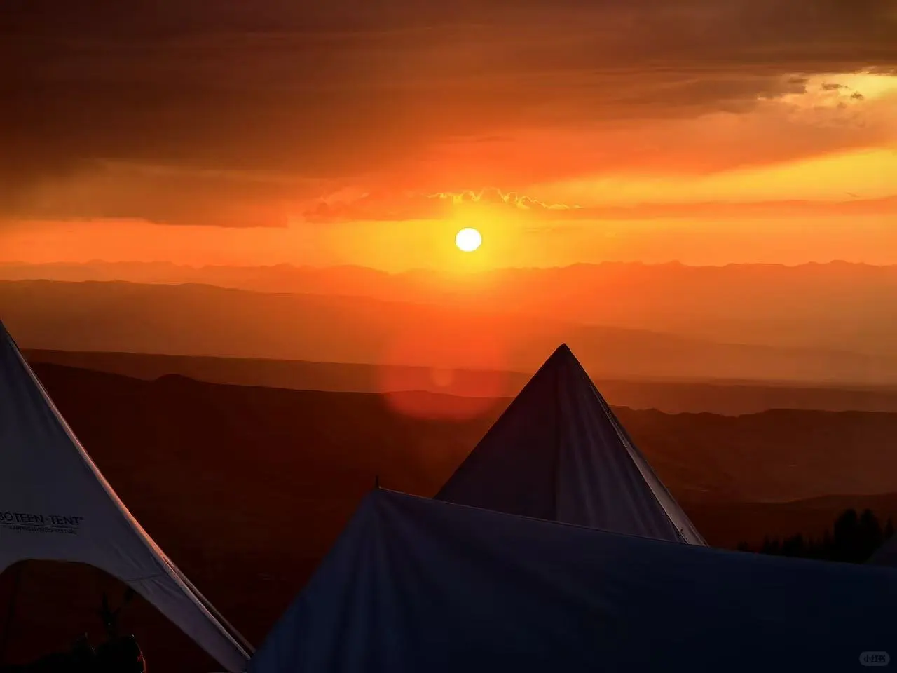 12.1📍新疆已回,不博眼球(纯分享版)!