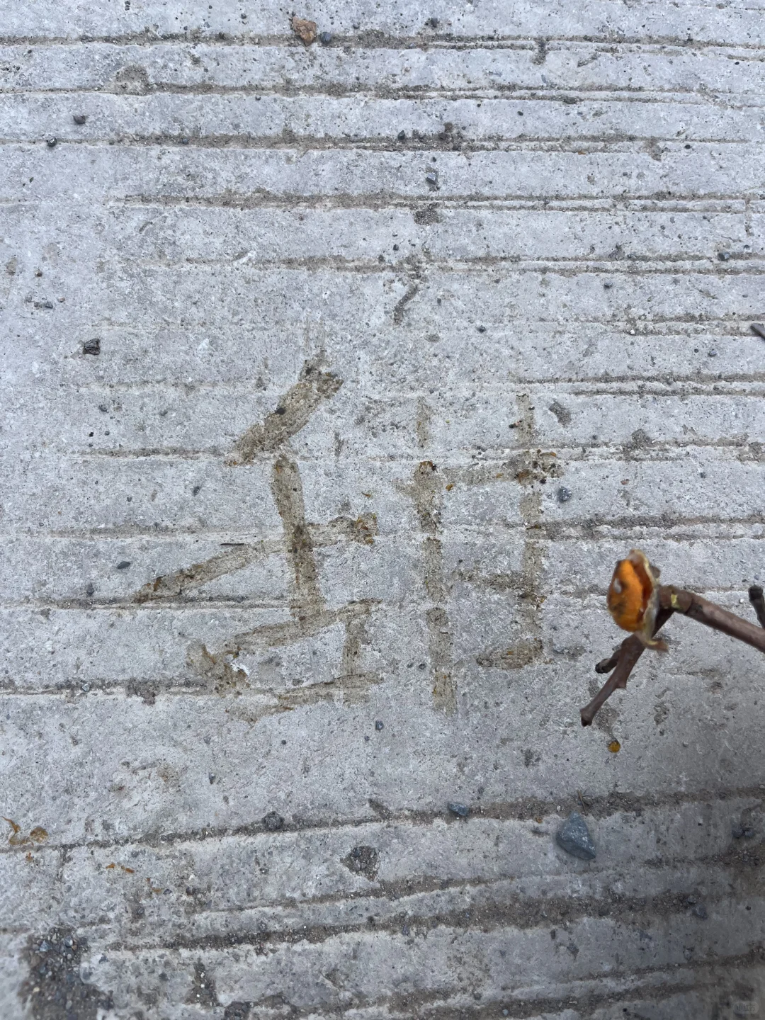 石家庄适合遛娃的景区,淡季人少,景色还美