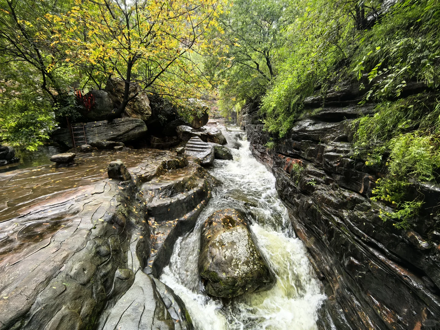 七步沟 | 雨后云雾是最好的滤镜