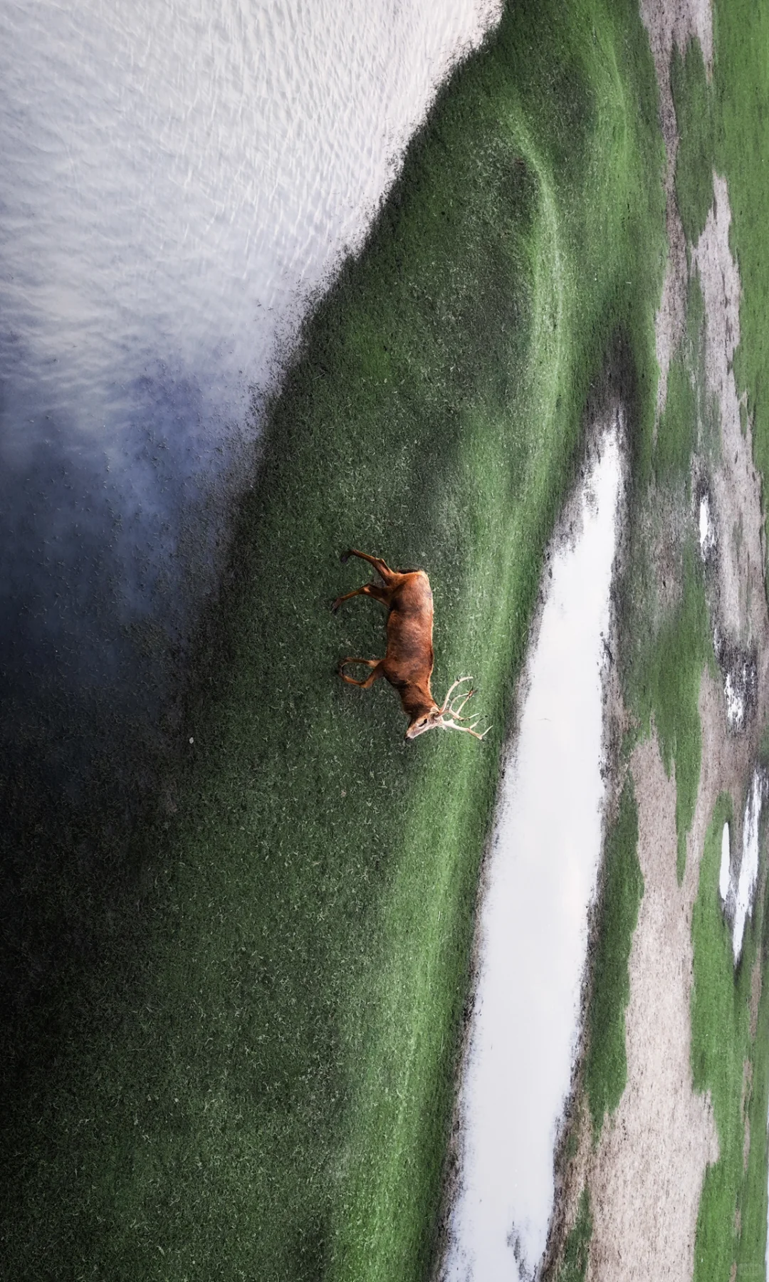 周末去了趟盐城，朋友都以为去了肯尼亚