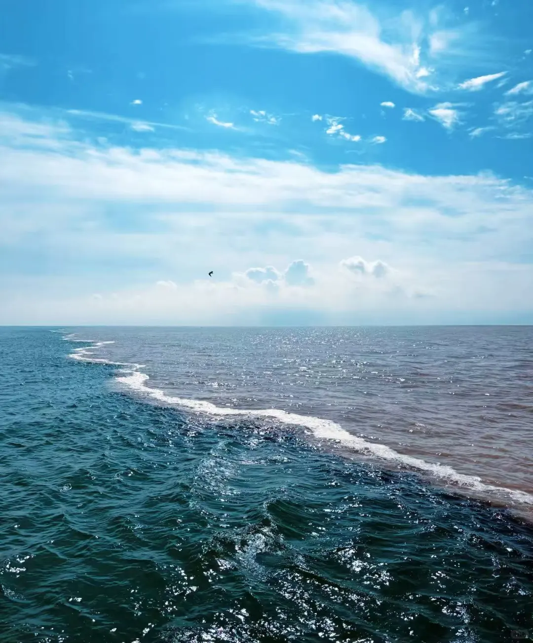 🌊东营！环华游开局，2天1夜只花100块