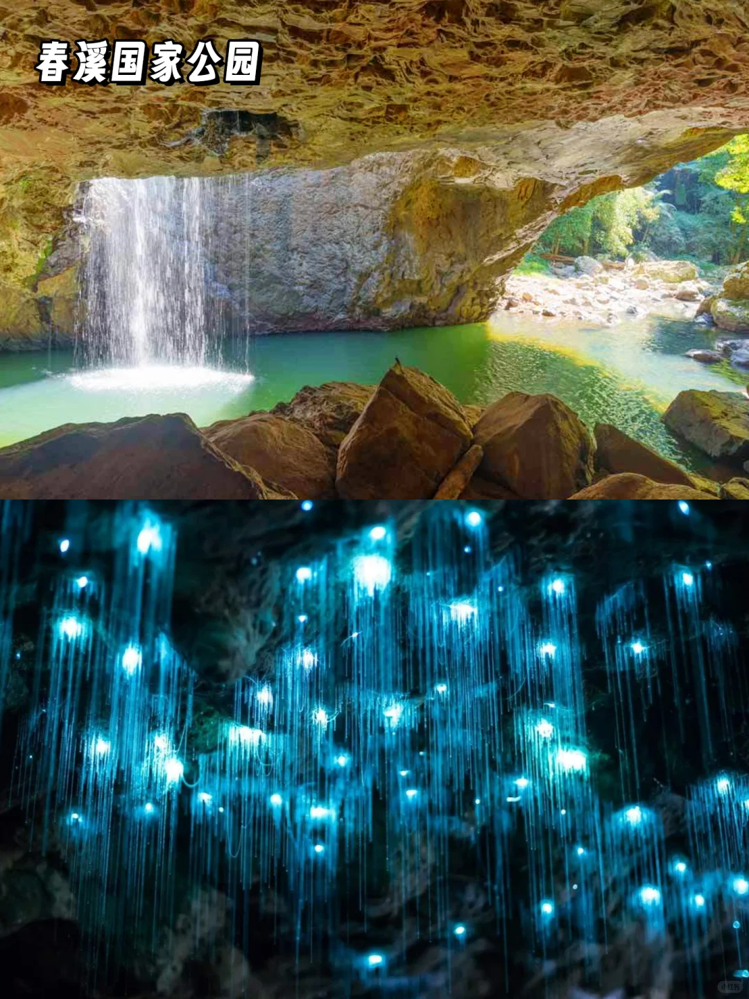 黄金海岸必玩！治愈系旅行清单快收好✨