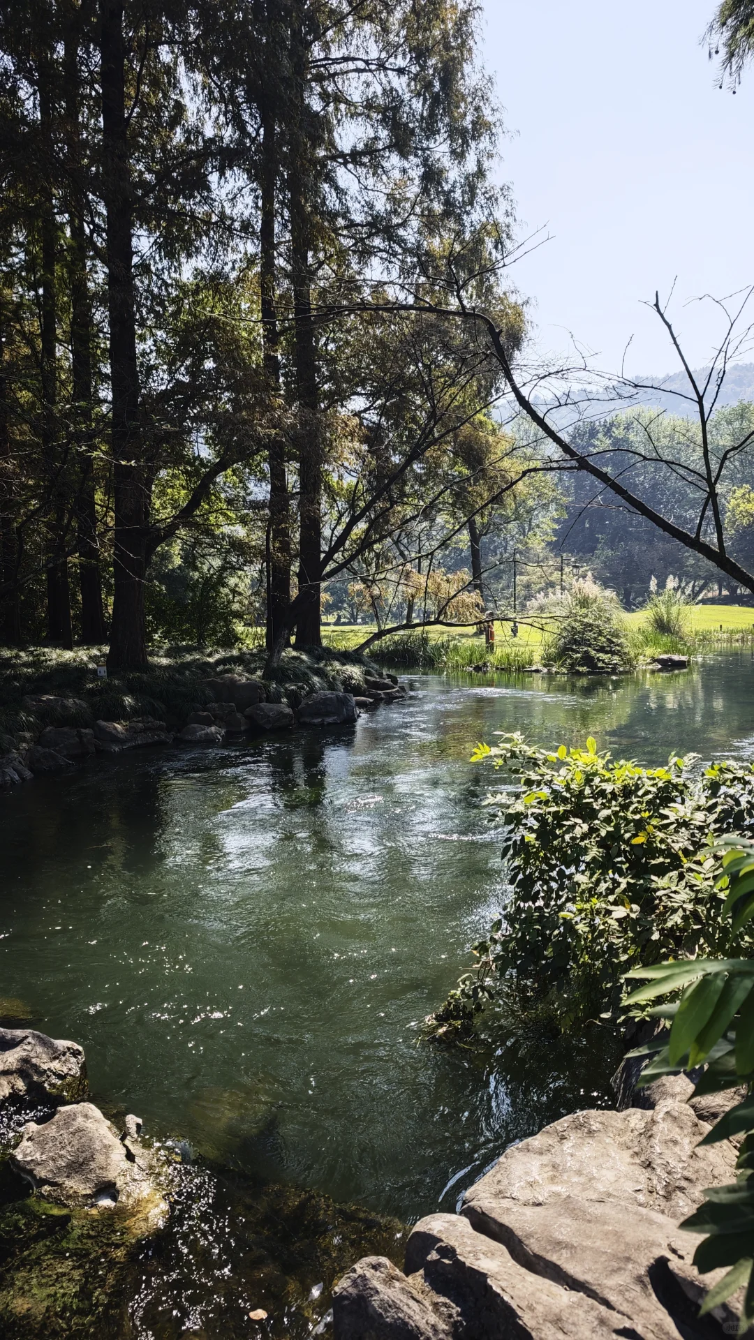 到底是谁把西湖评的5A景区！！！