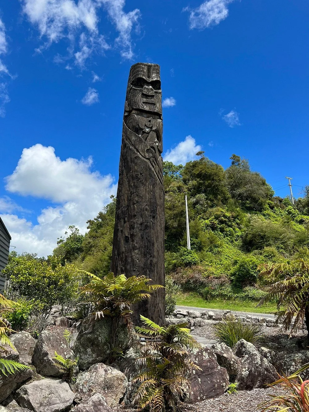 新西兰绝密仙境|乘船才能进的地热山谷🌋