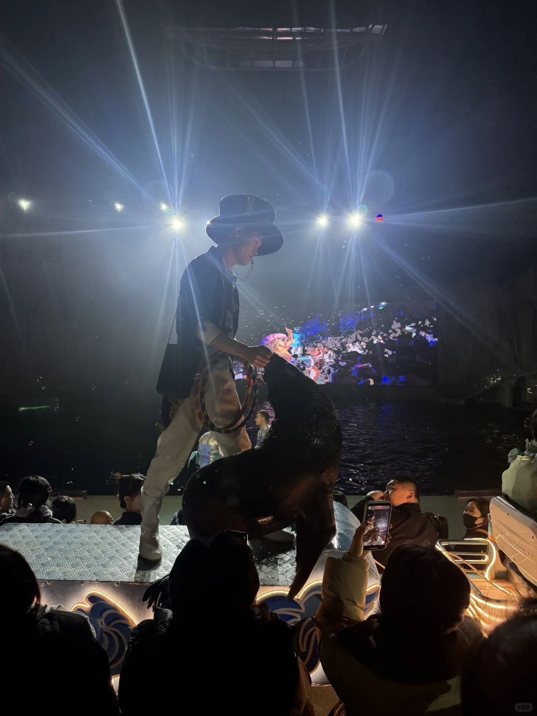 🐧哈尔滨极地公园顶流合集！一天玩够核心亮