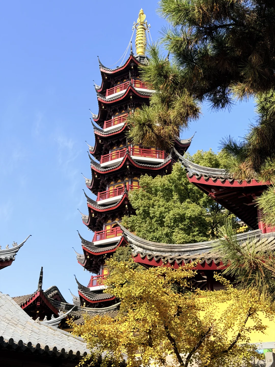 南京人带玩3天🍁附攻略🔥广东人哪见过深秋