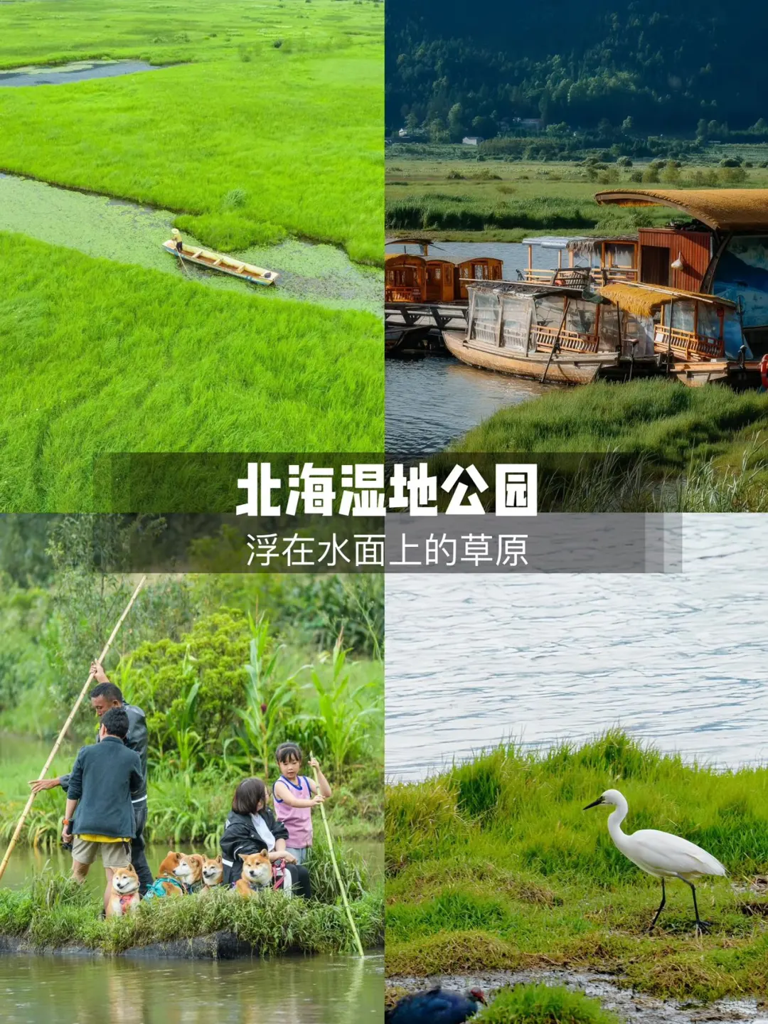 12.4—12.8 五天四晚腾冲—芒市捡人