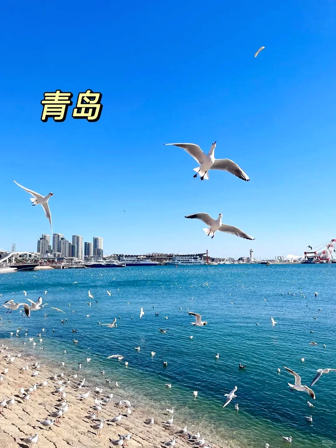 宝子们😎必去的绝美旅游地大分享🧳