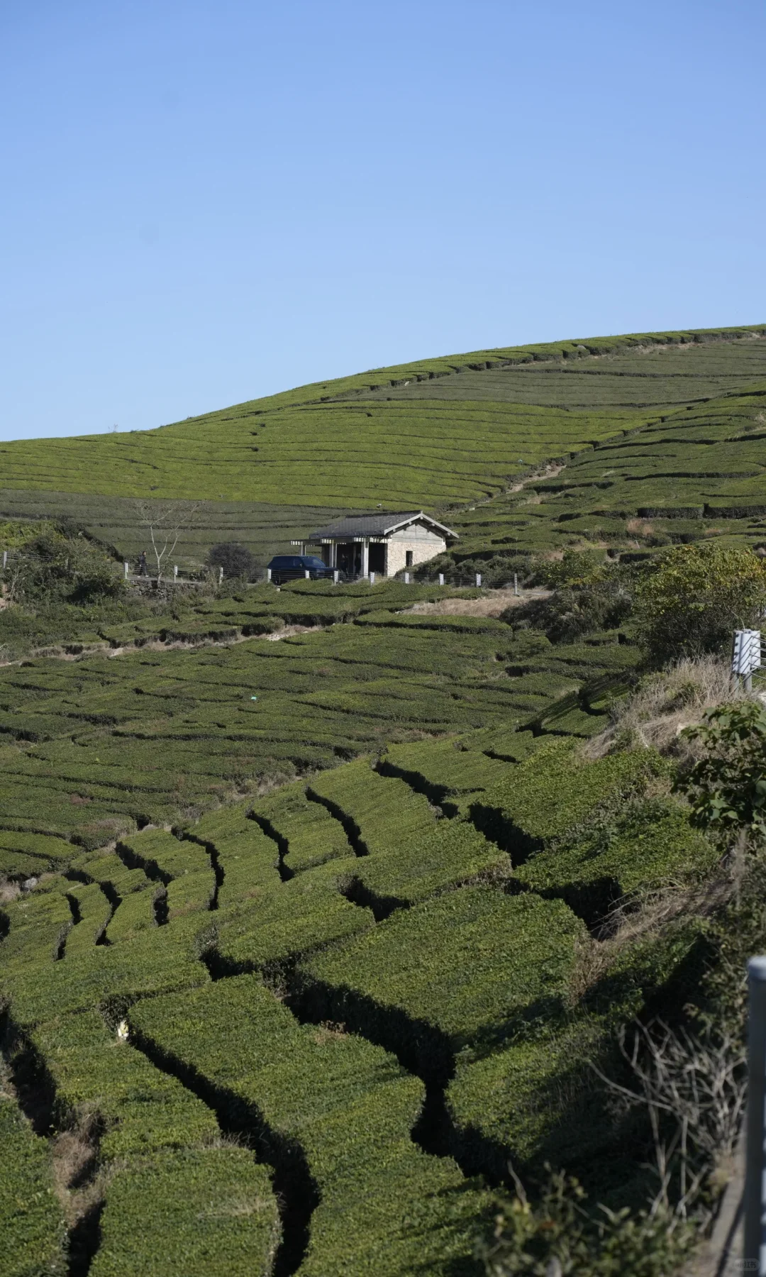 东钱湖福泉山大环线 去晚了