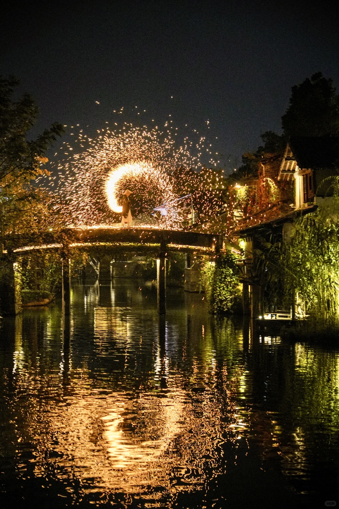 为了这棵1000年银杏，我特意去了趟浙江🍂