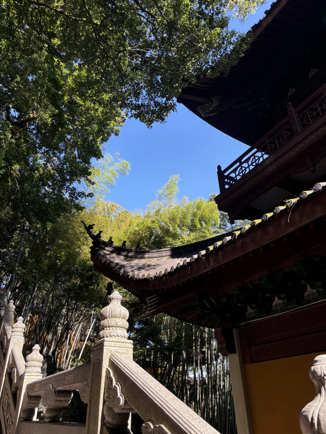 为了这1️⃣8️⃣张照片，特意去了一趟杭州…