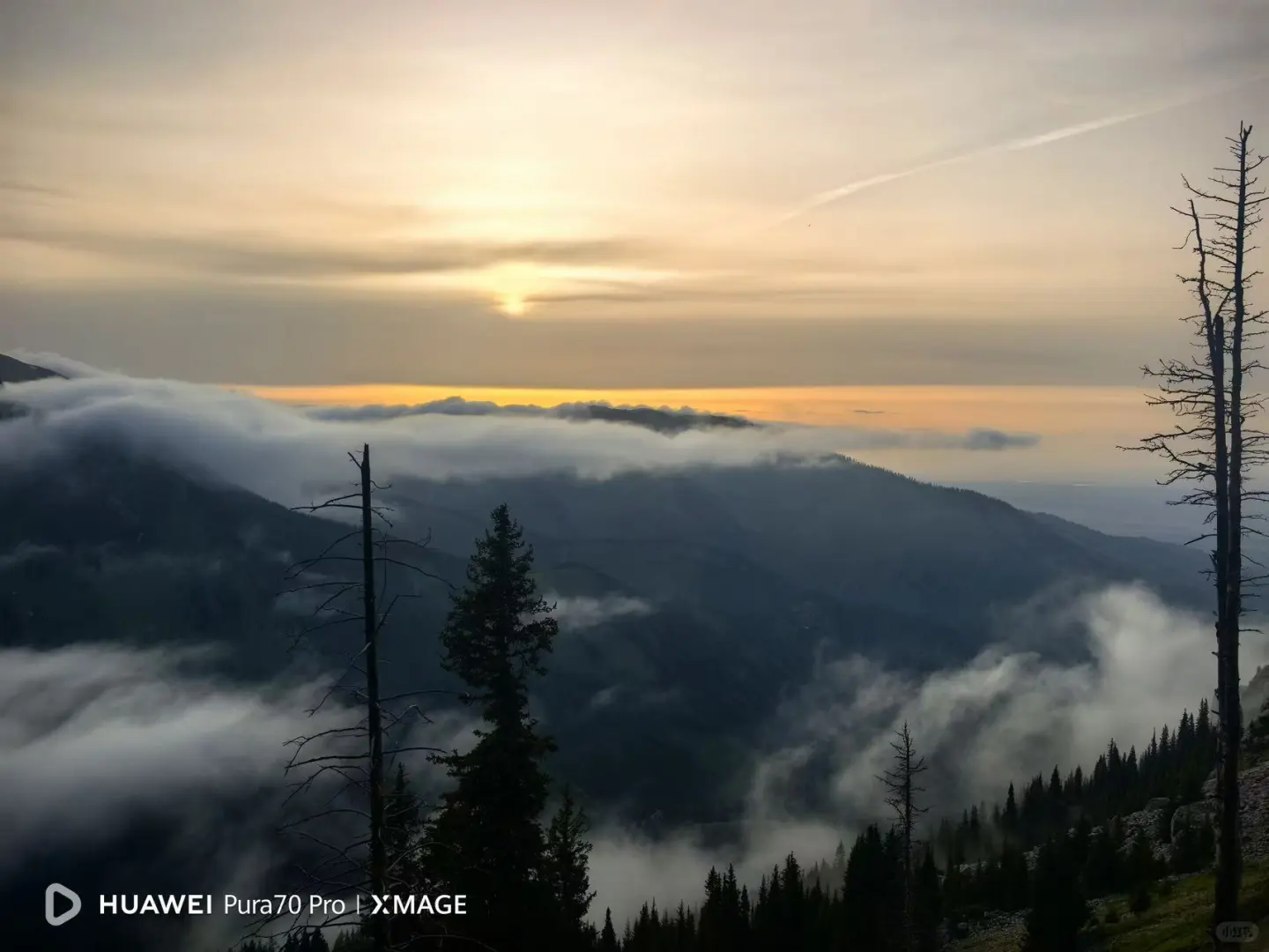 12.1📍新疆已回,不博眼球(纯分享版)!