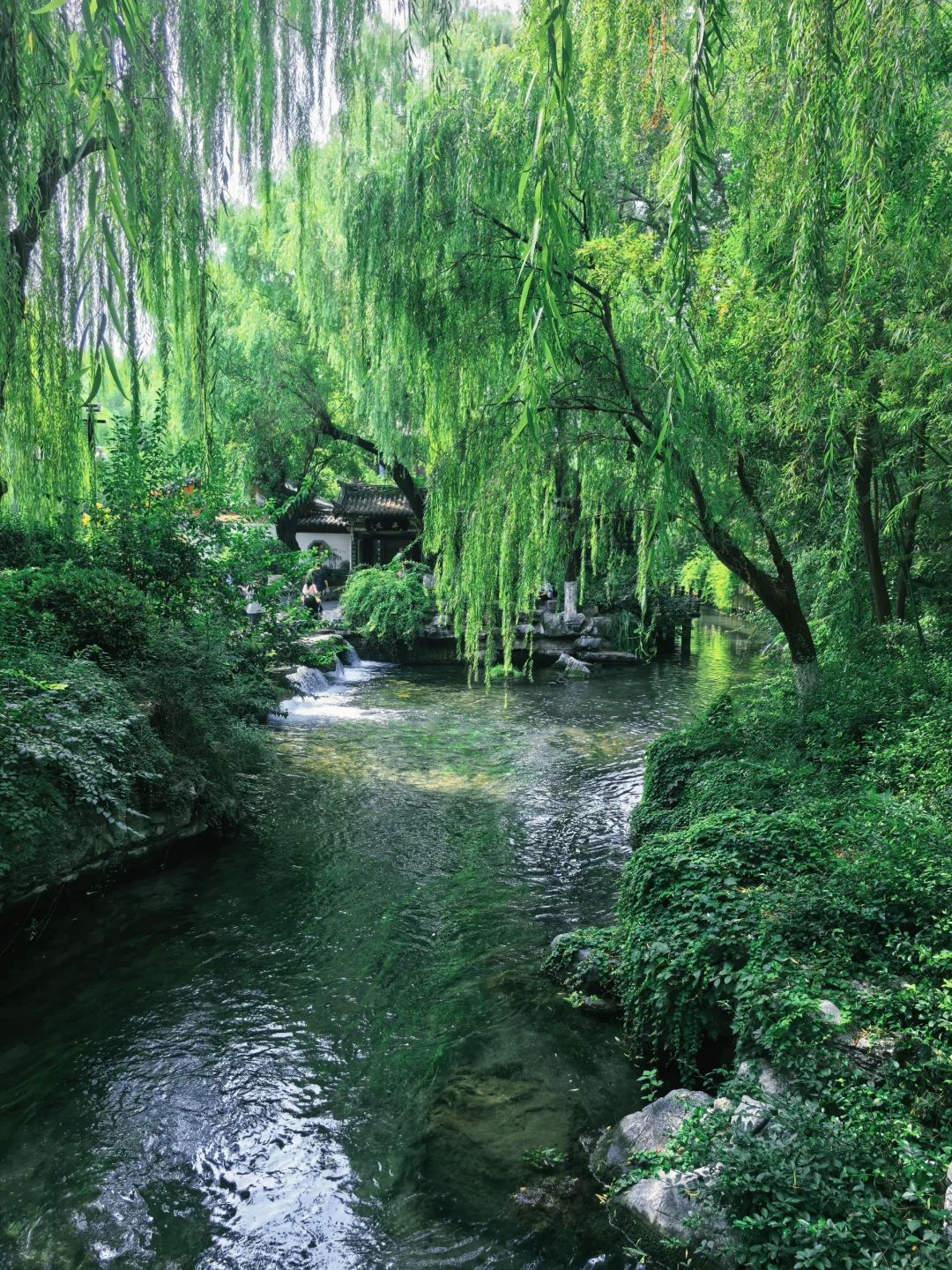 老舍笔下的济南趵突泉