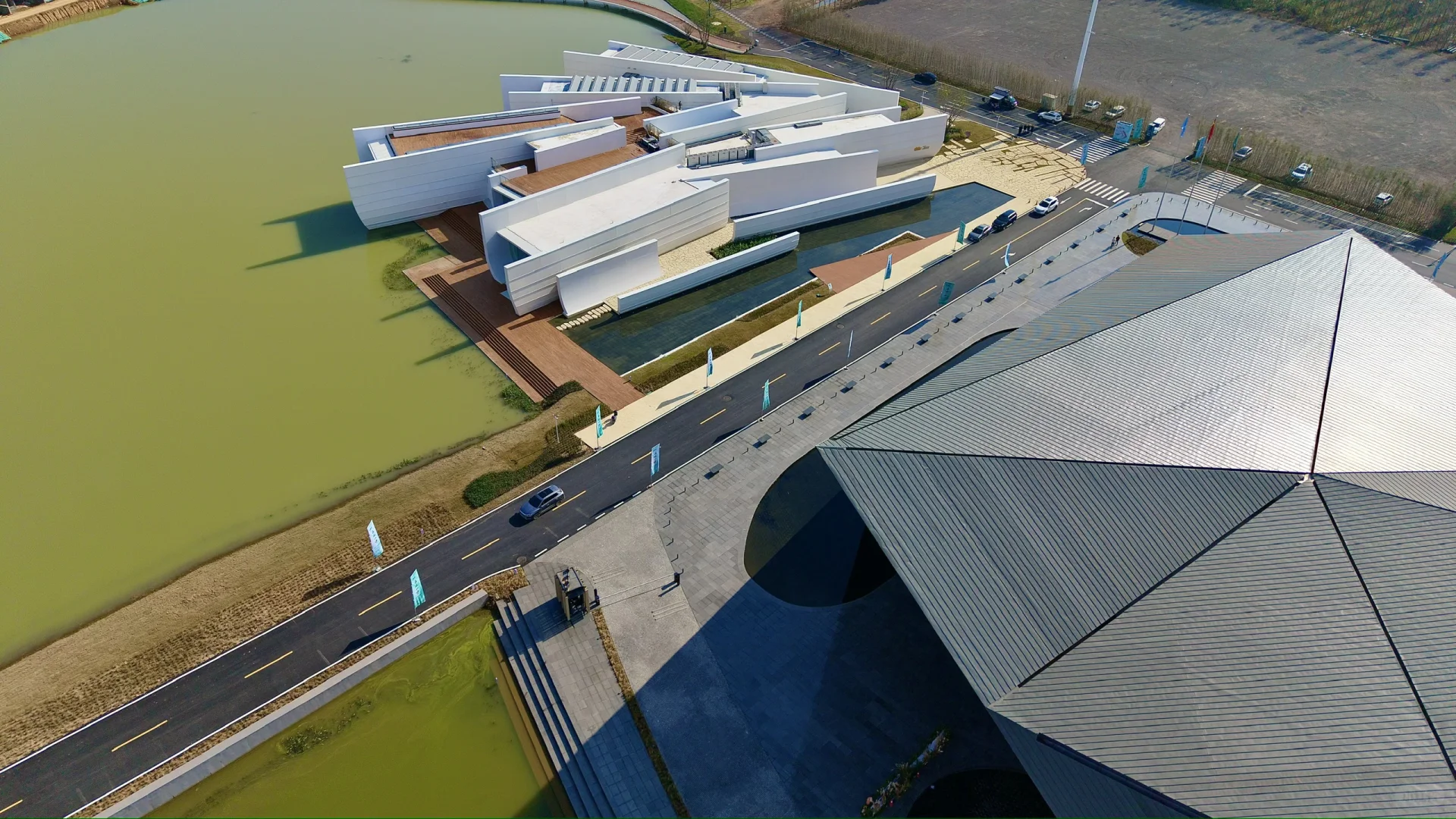 在武汉蔡甸找到了鹿客岛的平替,乌桕树已红