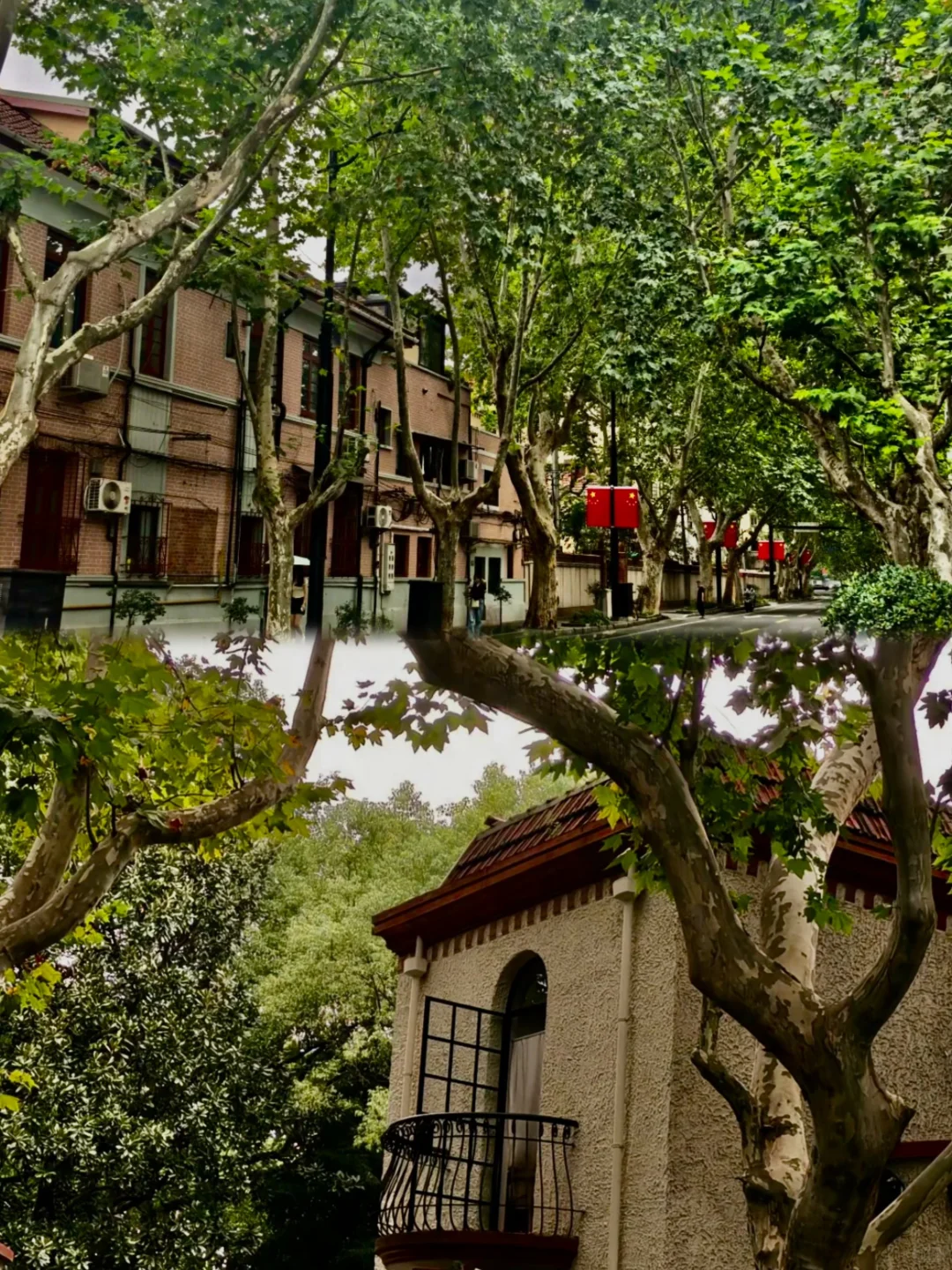 上海两天一夜 | 保姆级旅游攻略,不绕路!