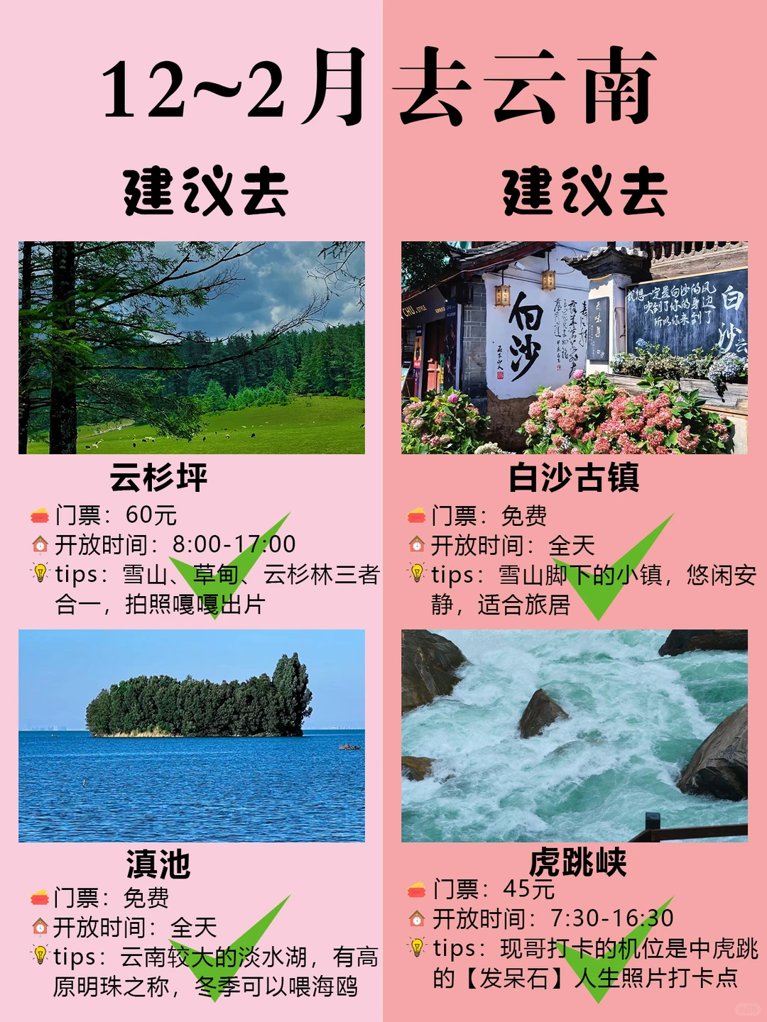 12~2月💡纯玩天花板云南5天💰人均1k+