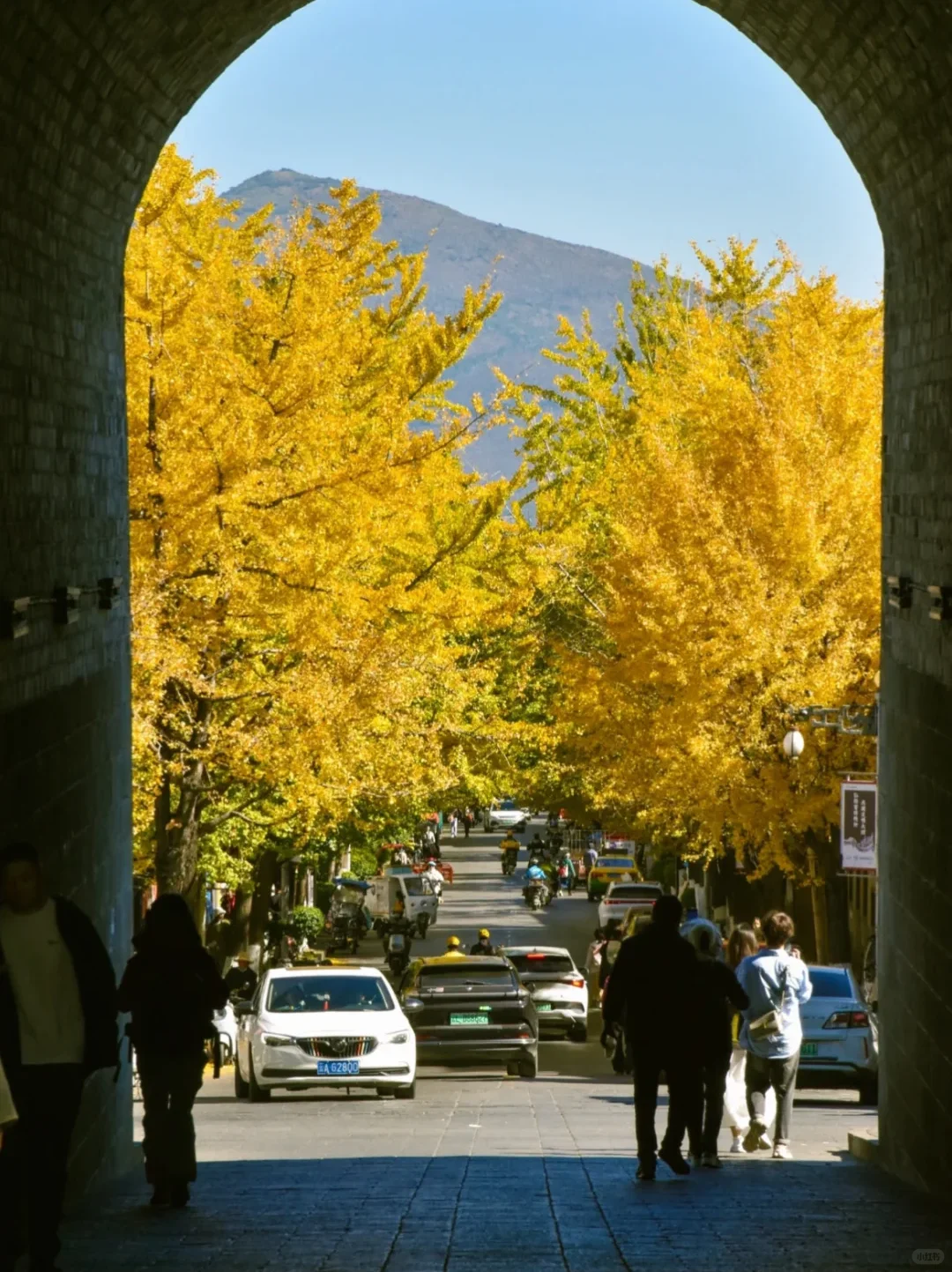 云南旅游攻略|12~2月出行保姆级指南✅