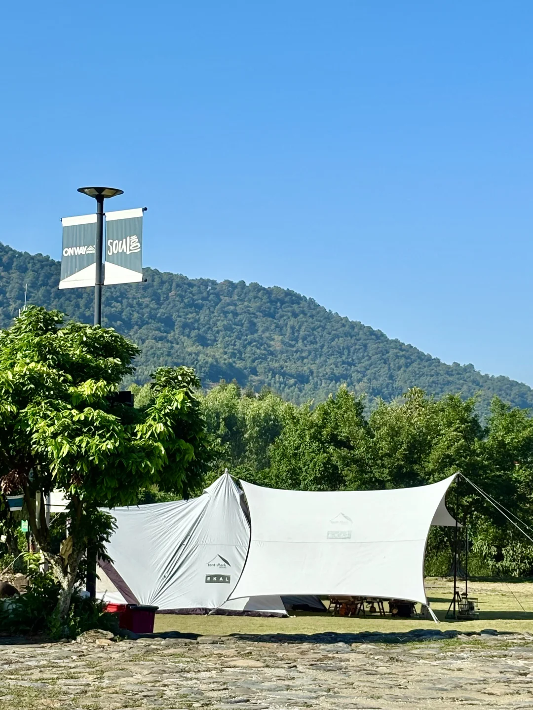 自由的风🏞️🌳🍃