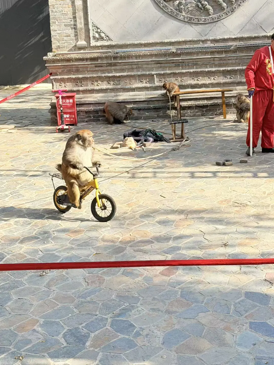 这么近那么美周末到龙泉古镇🏯