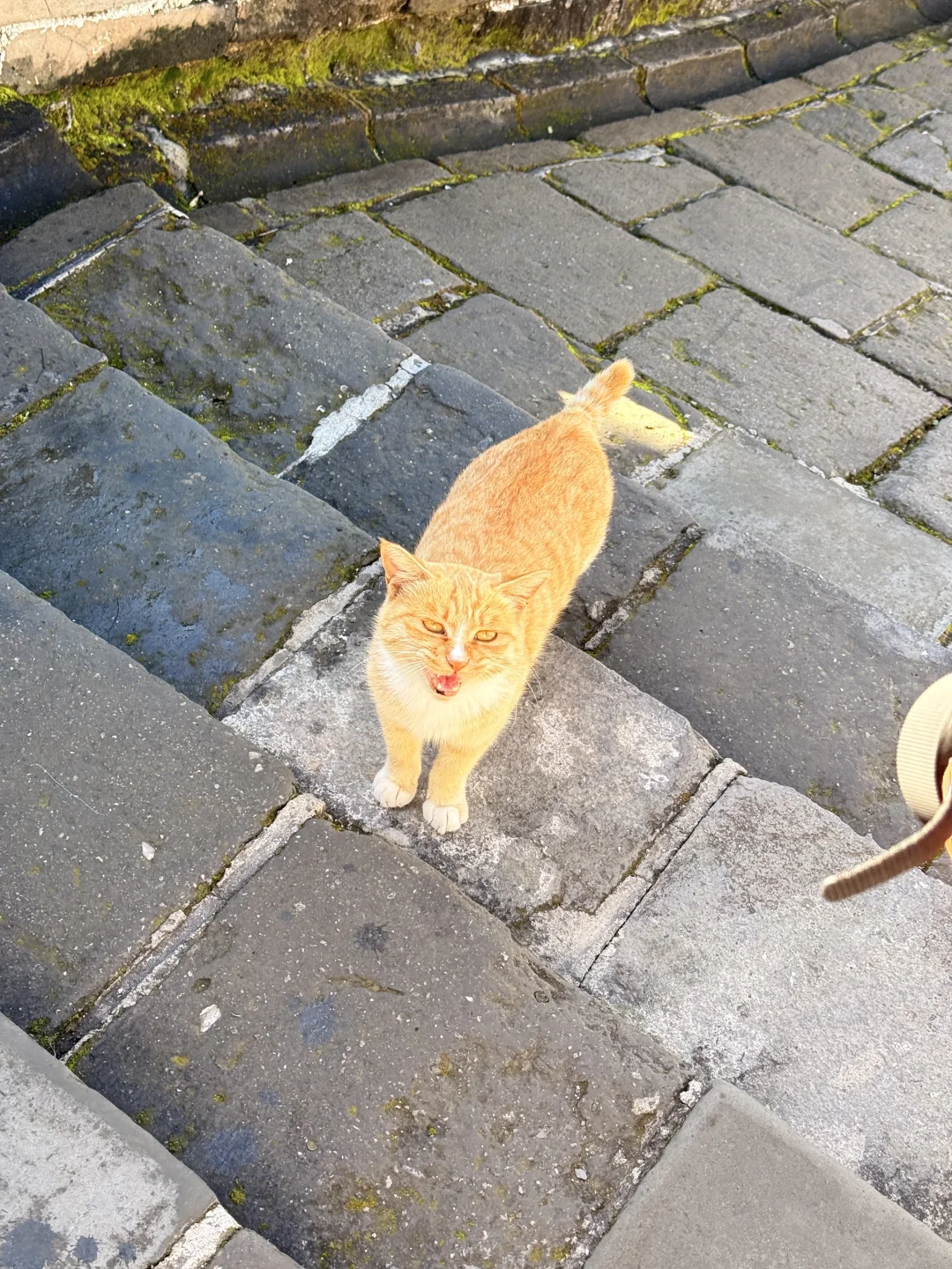 北京慕田峪长城｜附带纯走路线分享