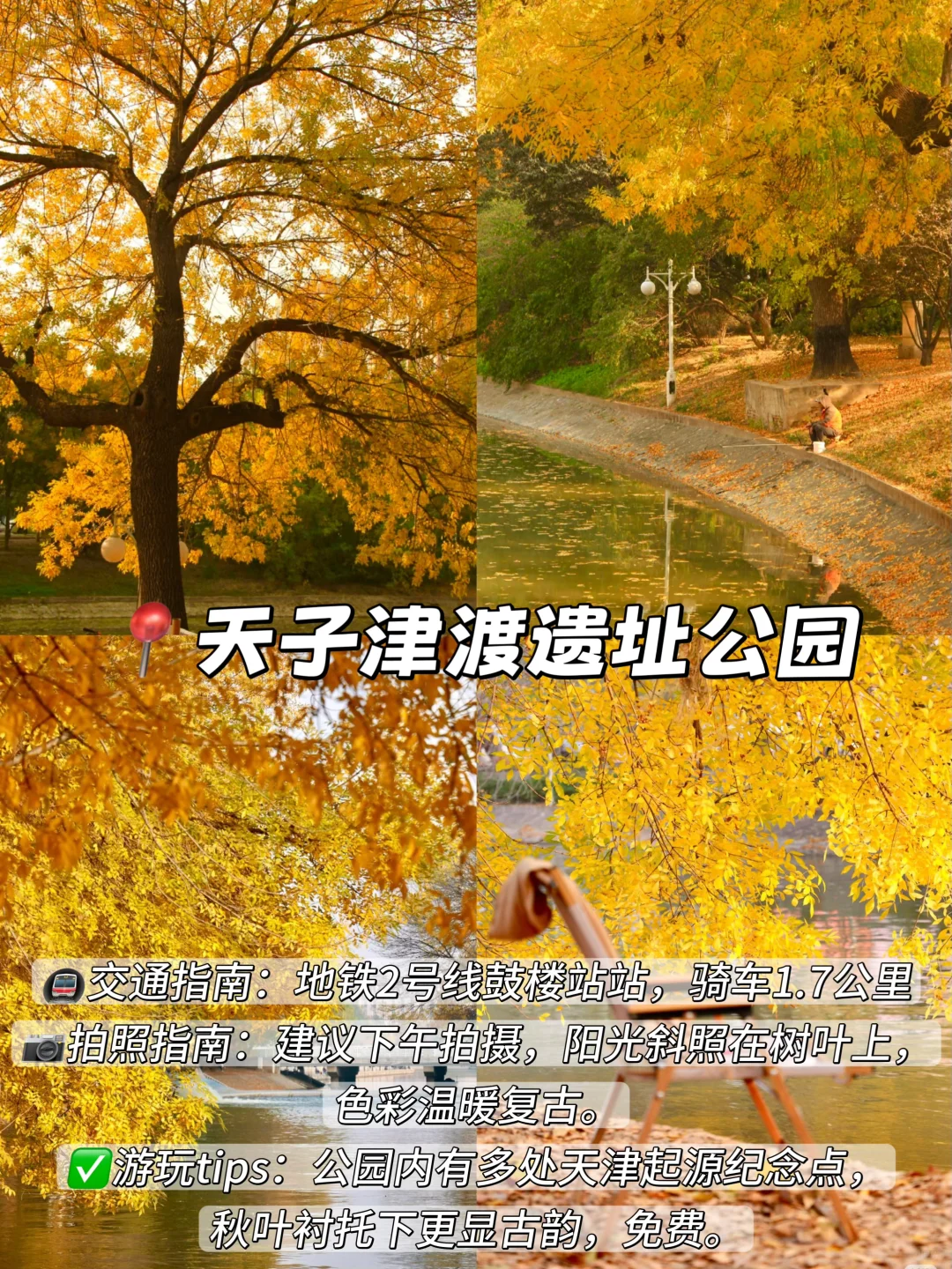 3年总结!天津秋天一定要去的9️⃣个地方!