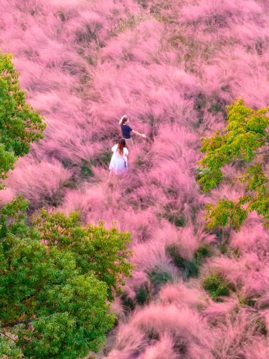 我私藏最美9条江浙沪赏秋路线🍂没有平替