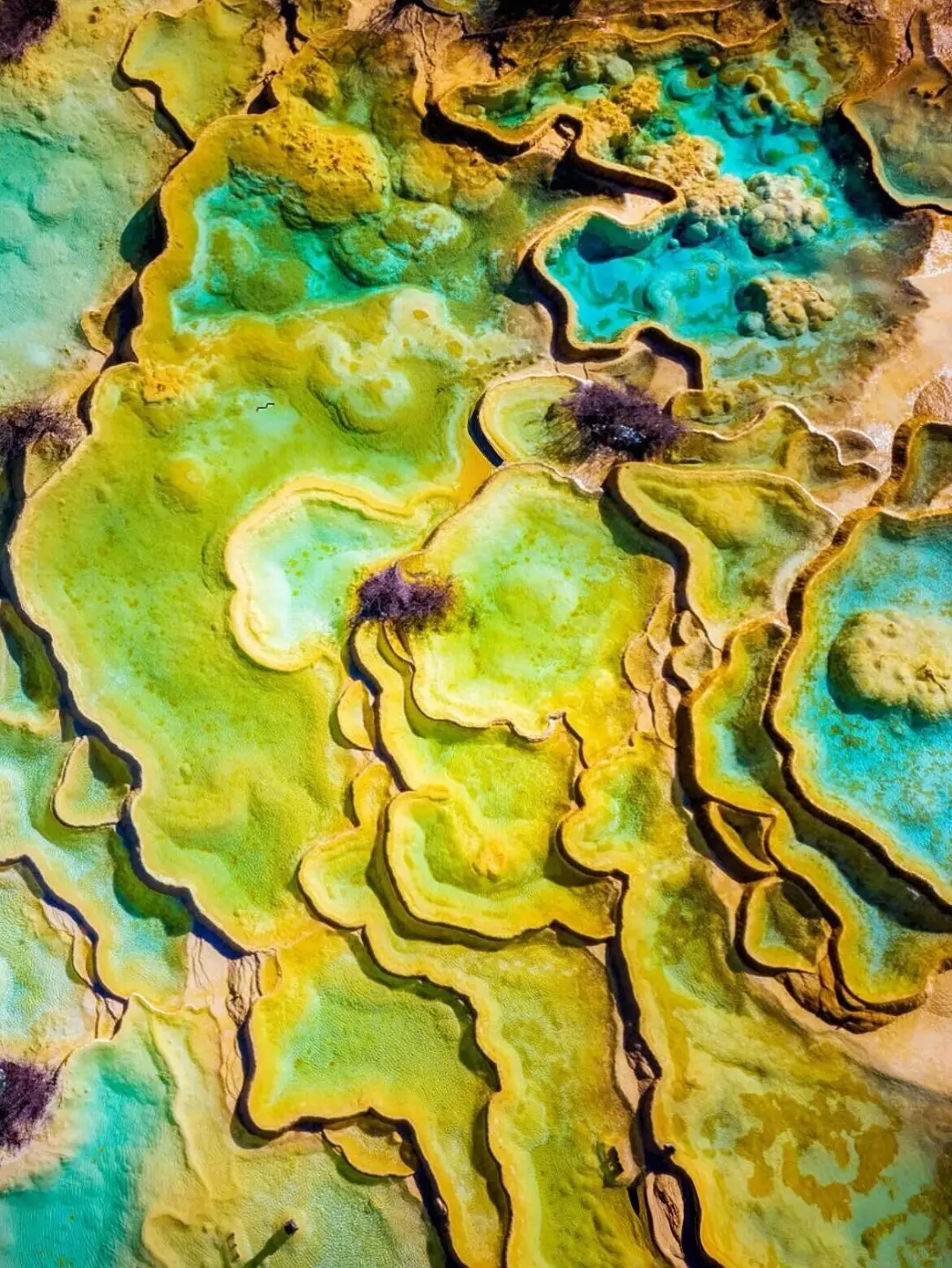 11-12月的川西才是冬日仙境的天花板👏