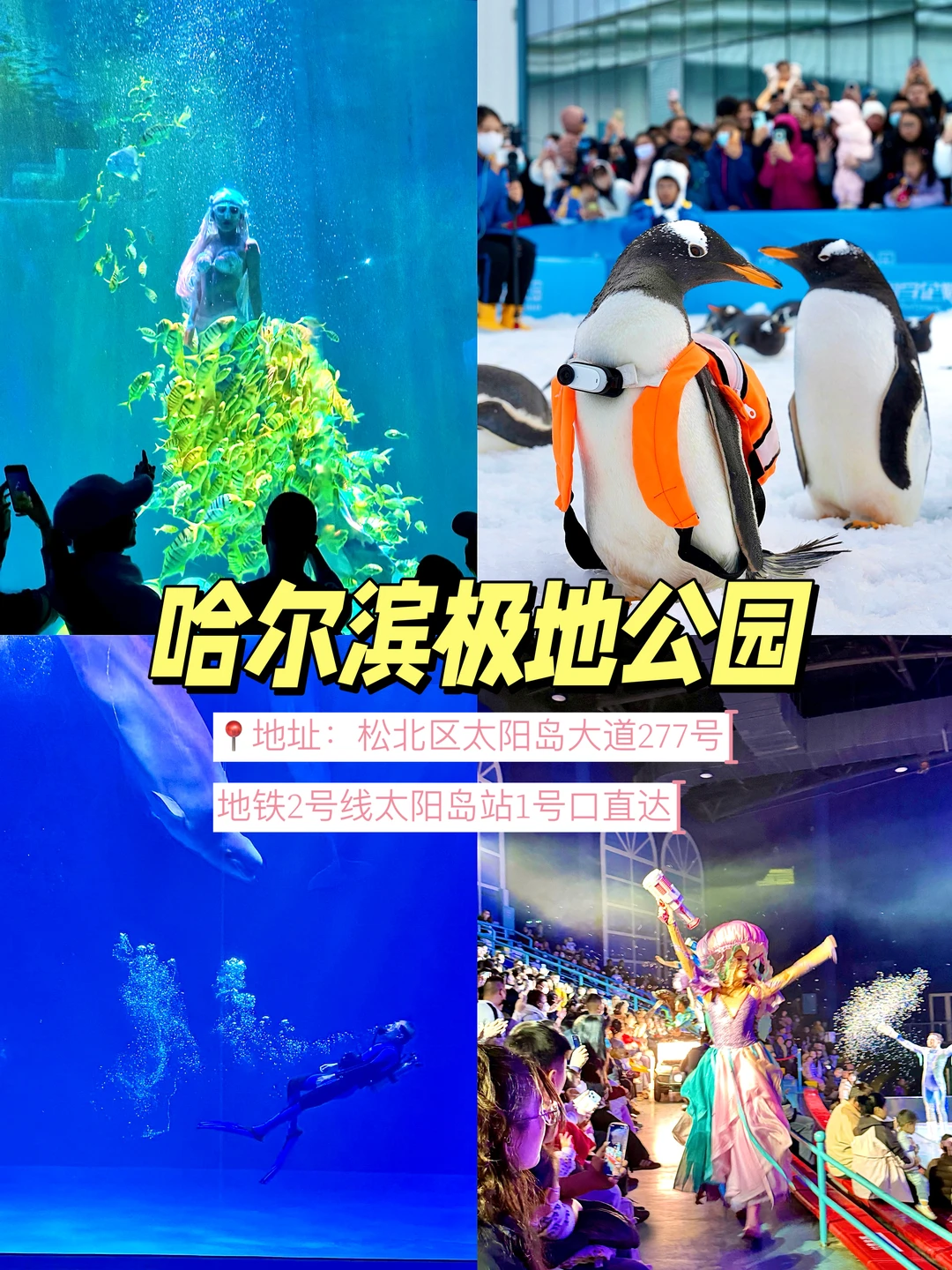 哈尔滨原来还可以这么玩!都整理好了