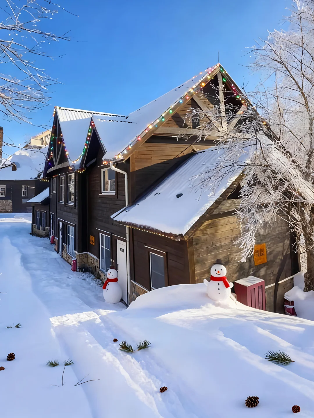 来成都住我家吧!128俩人😭雪景小木屋