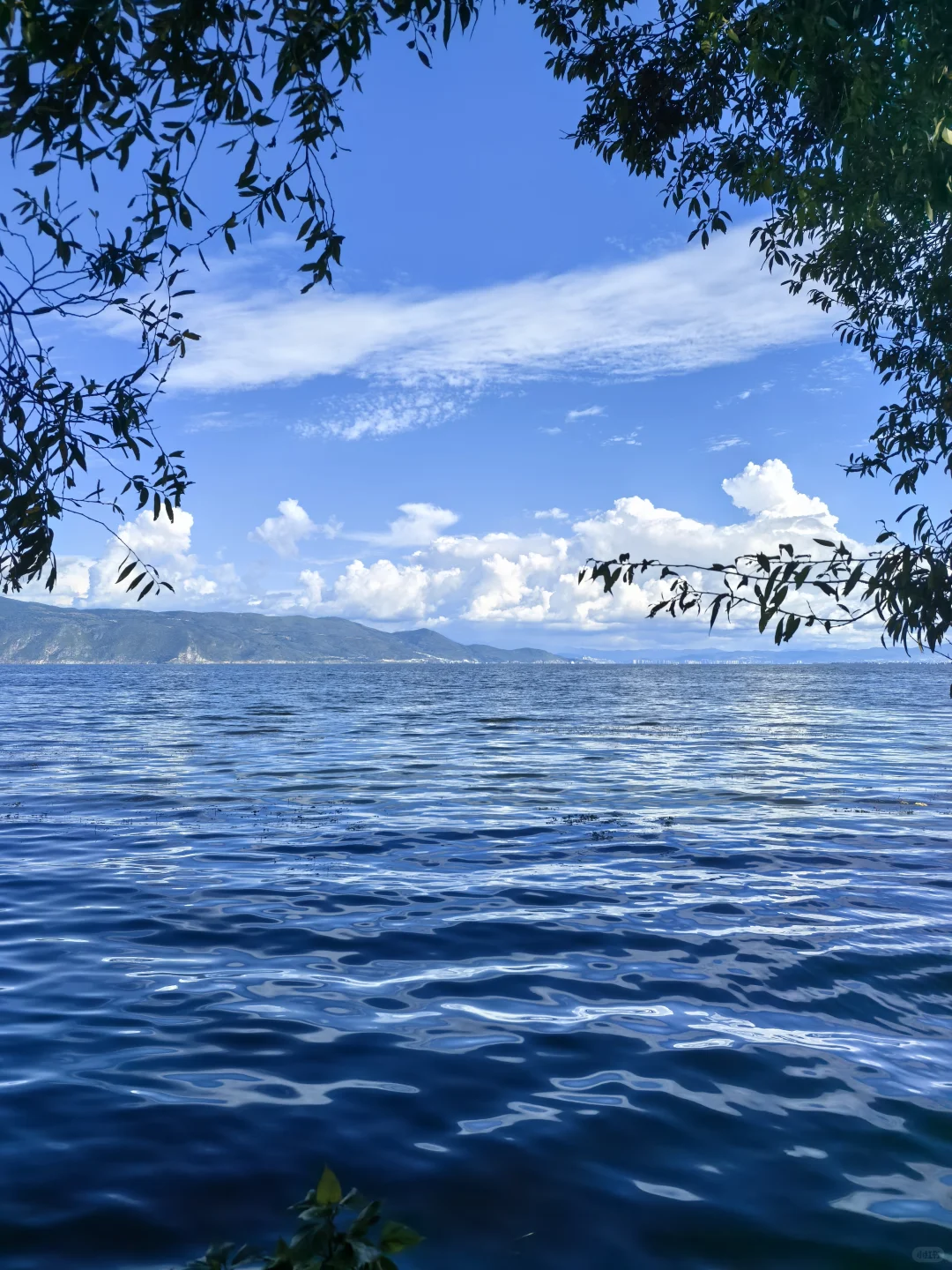 云南之大理篇~去有风的地方