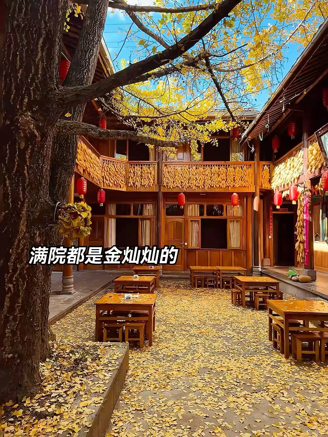 带爸妈去了24°C的腾冲，真的比巴厘岛还震撼！