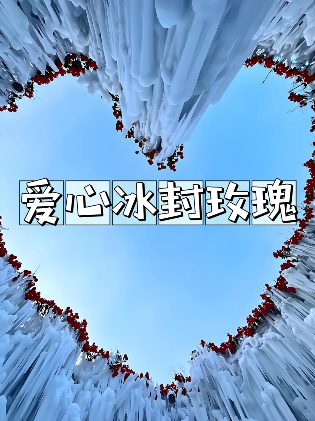 长白山雪绒花乐园｜免费入园！冰封玫瑰超美