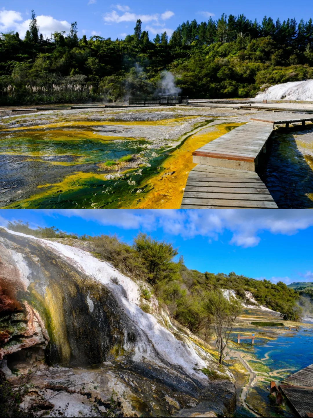 新西兰绝密仙境|乘船才能进的地热山谷🌋