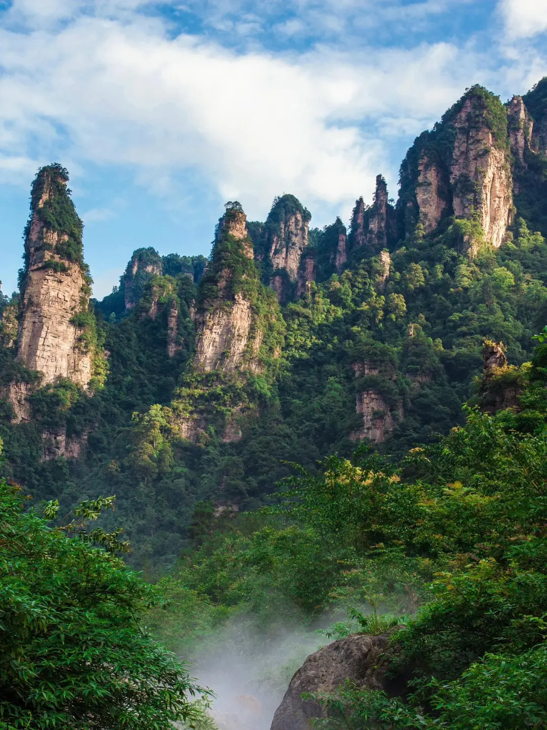 阿凡达取景地超全攻略，这样玩准没错