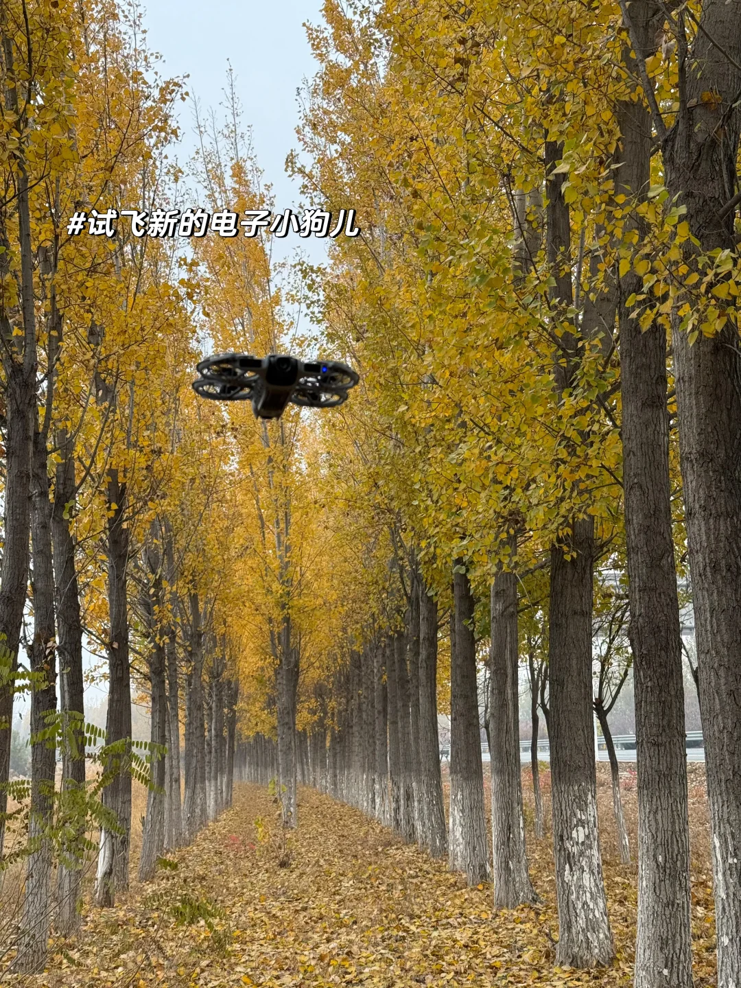 环天津自驾-河北沧州青县泊头南皮