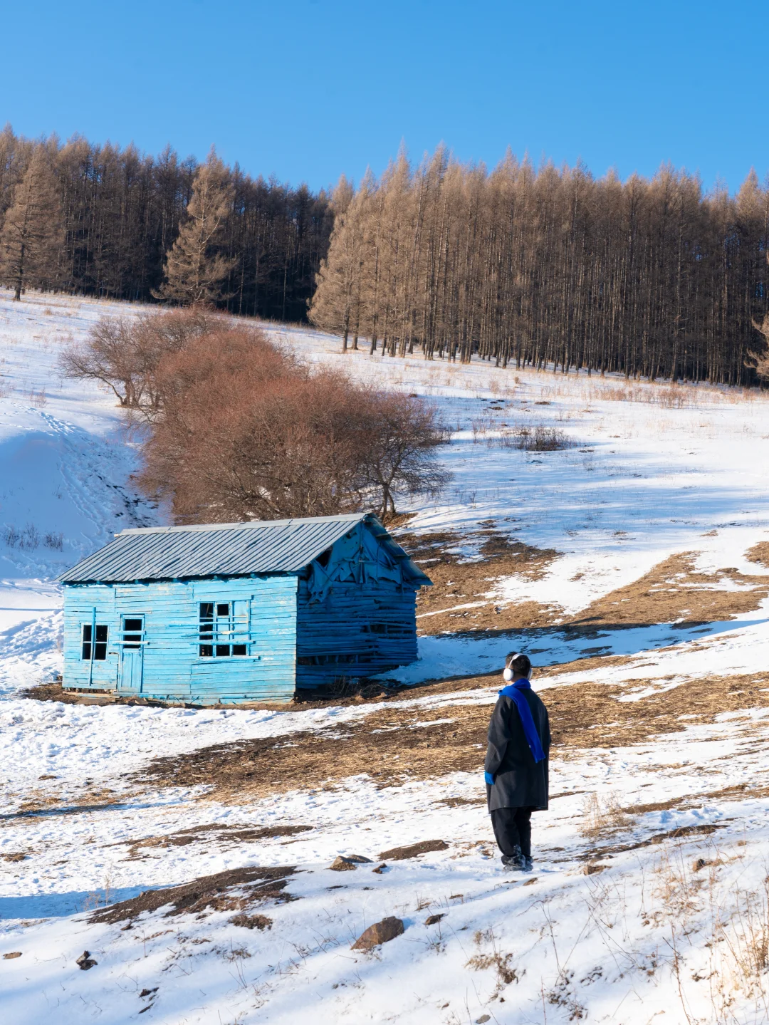 “后来,我逢人便说呼伦贝尔的冬天有多浪漫~”