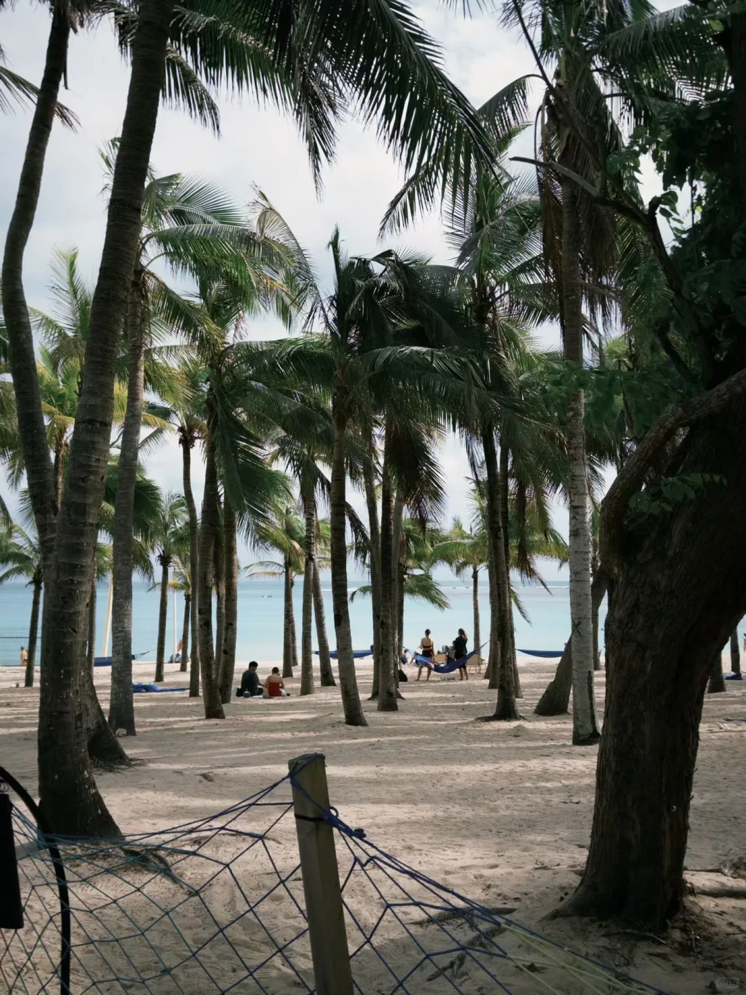 强烈推荐我报的这家三亚旅游团❗️❗️❗️