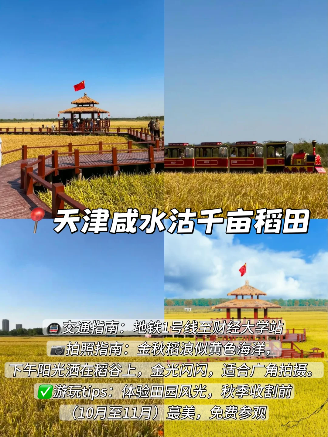 3年总结!天津秋天一定要去的9️⃣个地方!