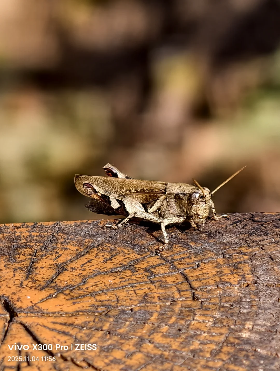 2025.11.4野三坡百里峡