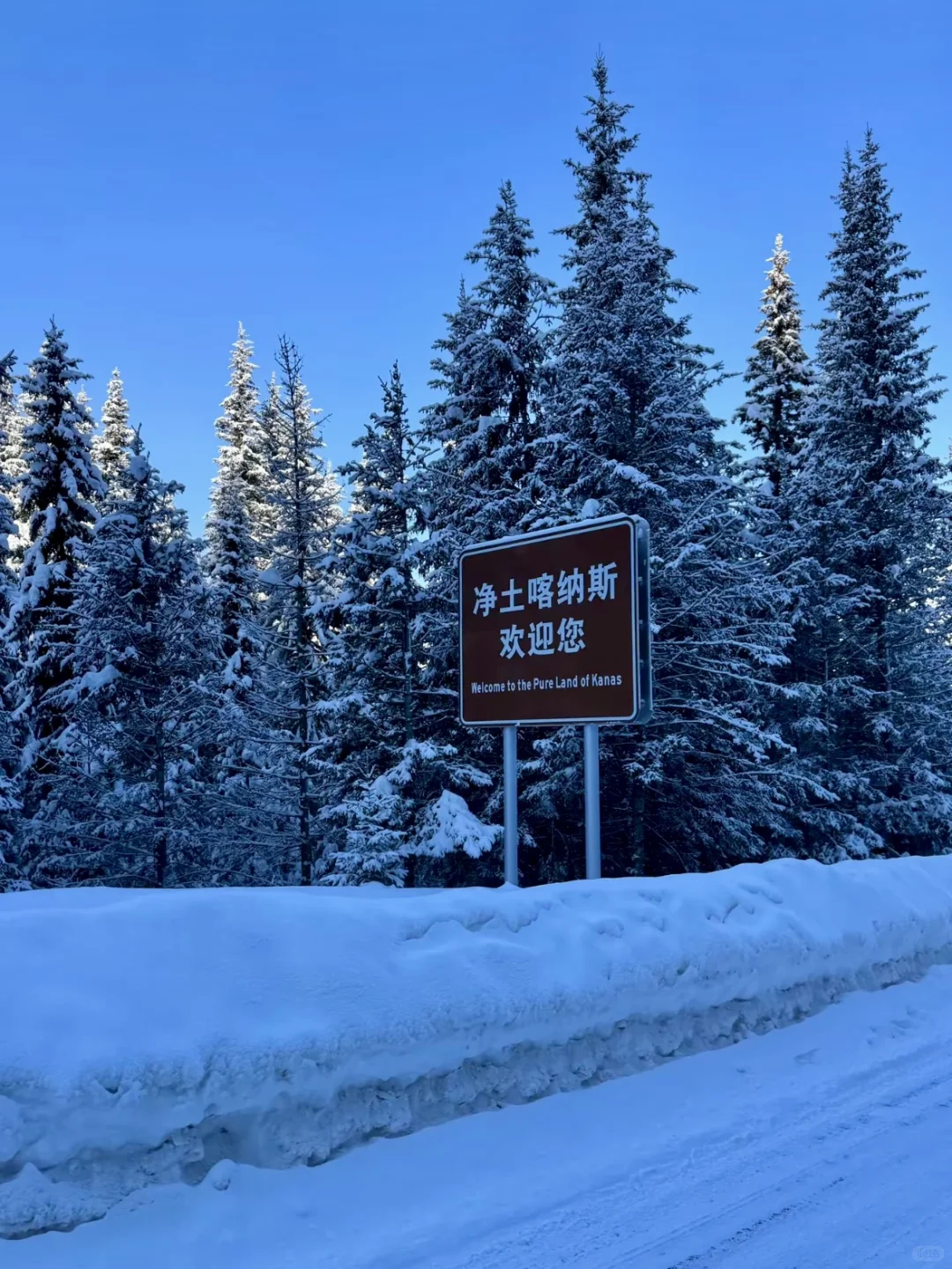 喀纳斯隐藏秘境｜99%游客不知道的打卡点