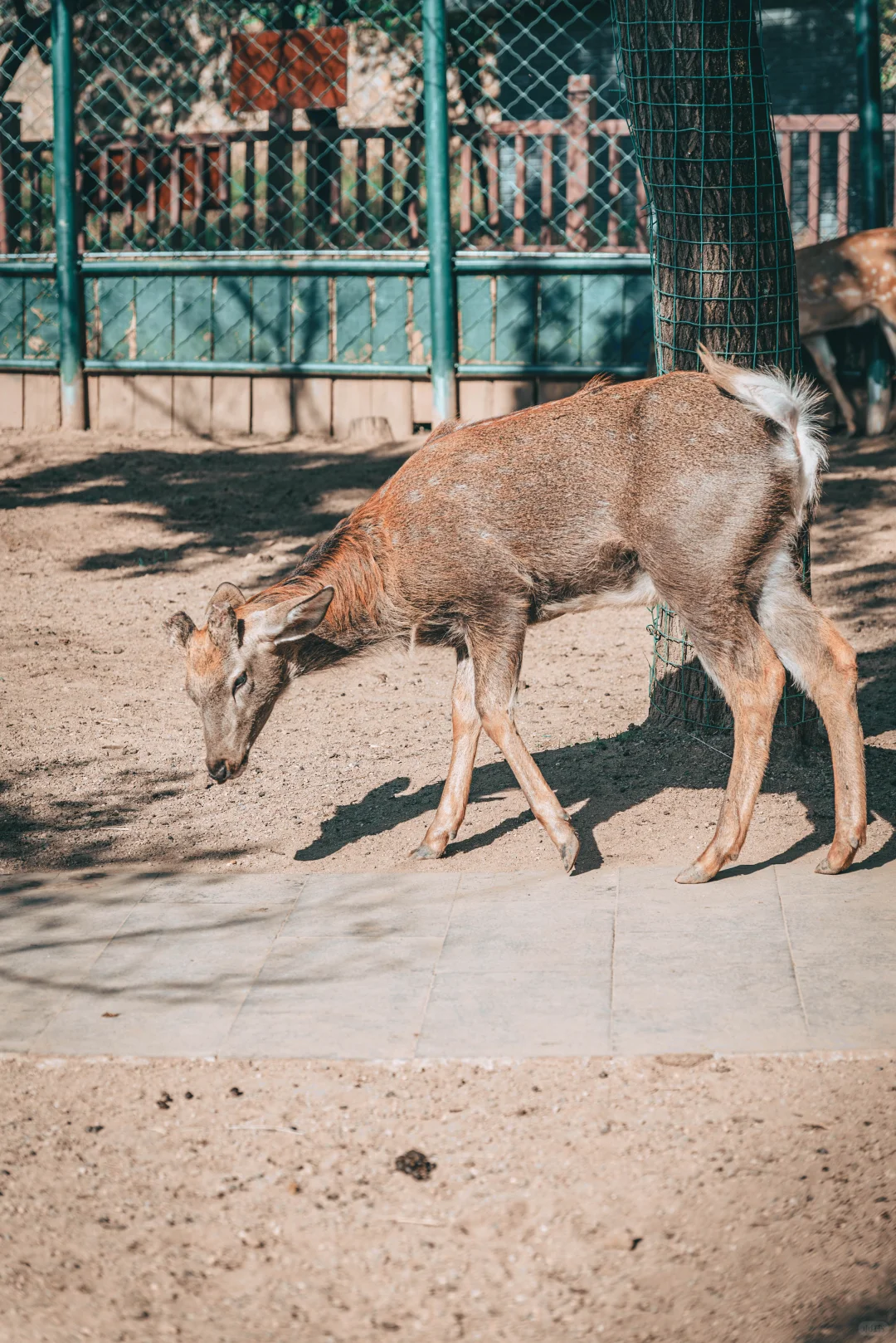 避暑山庄,不太值的5A景区