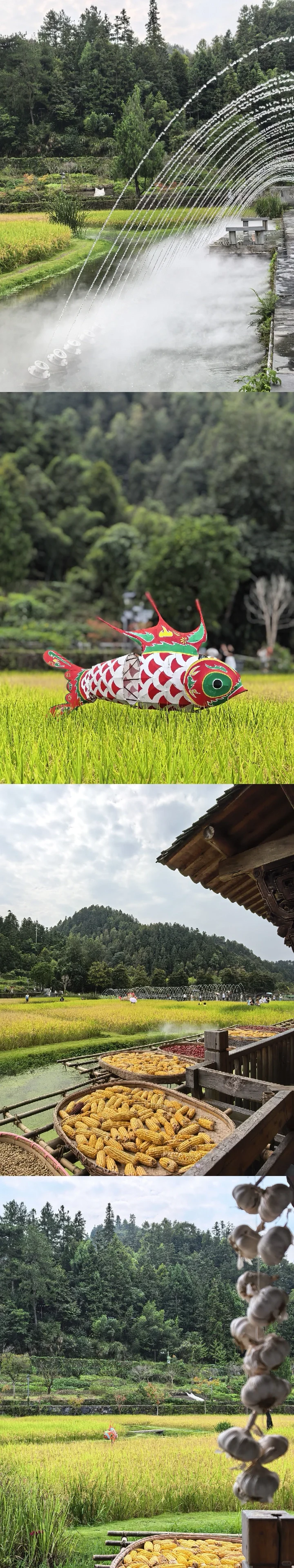 青岛自驾出发|皖南四日游小众路线