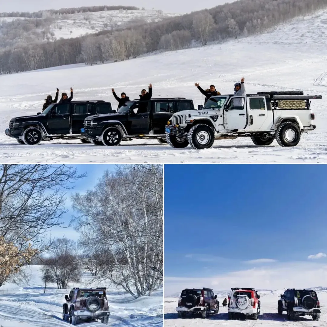 🌨️乌兰布统玩雪攻略|雪国童话照进现实