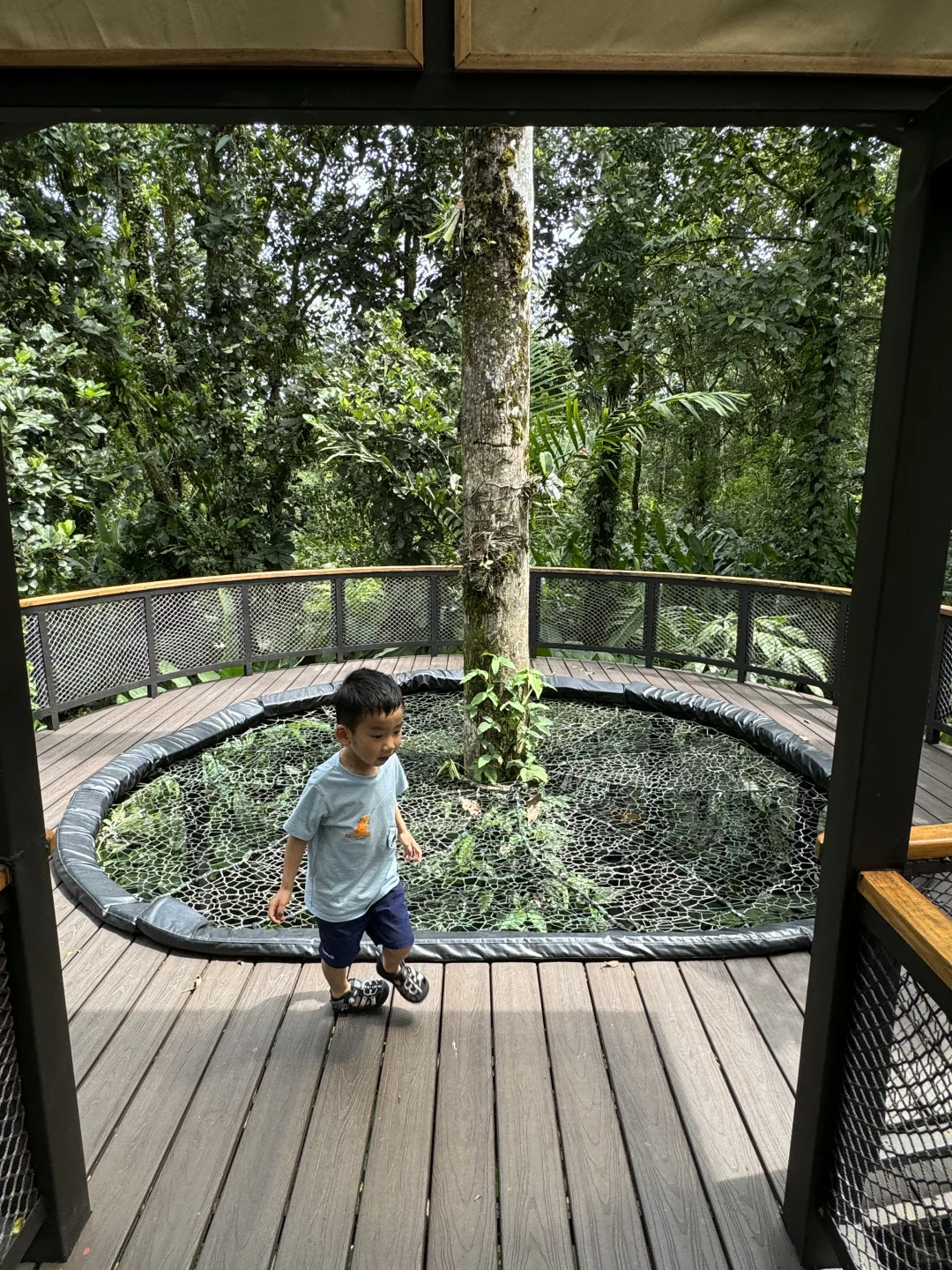 在哥斯达黎加住进了热带雨林是什么感受！