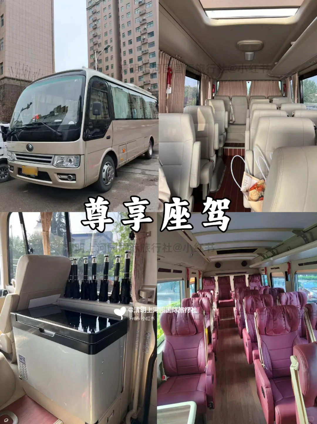 在河南玩5天😁家长都夸的省心路线