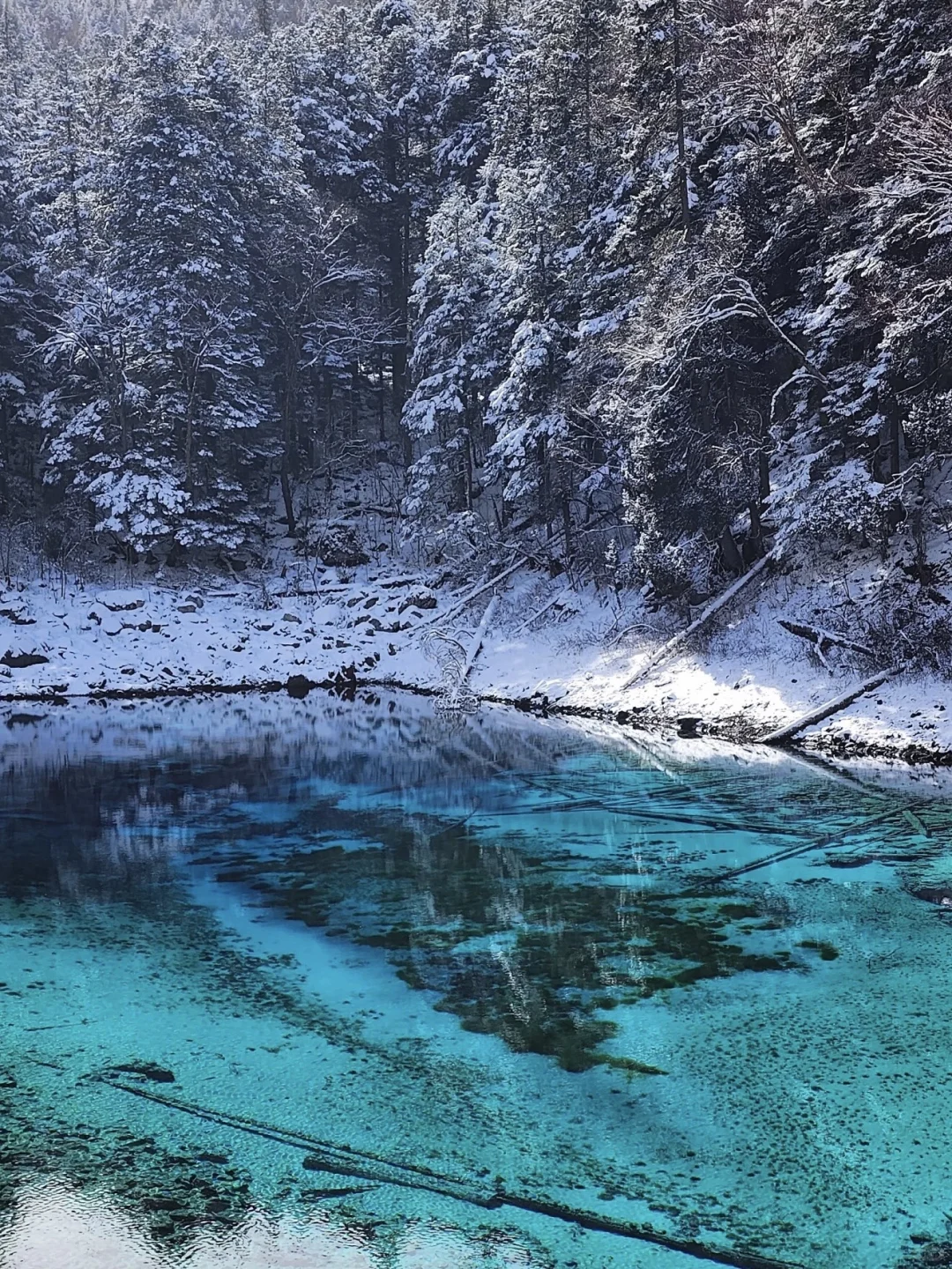九寨沟冬季超全时间表❄️看完少走冤枉路😭