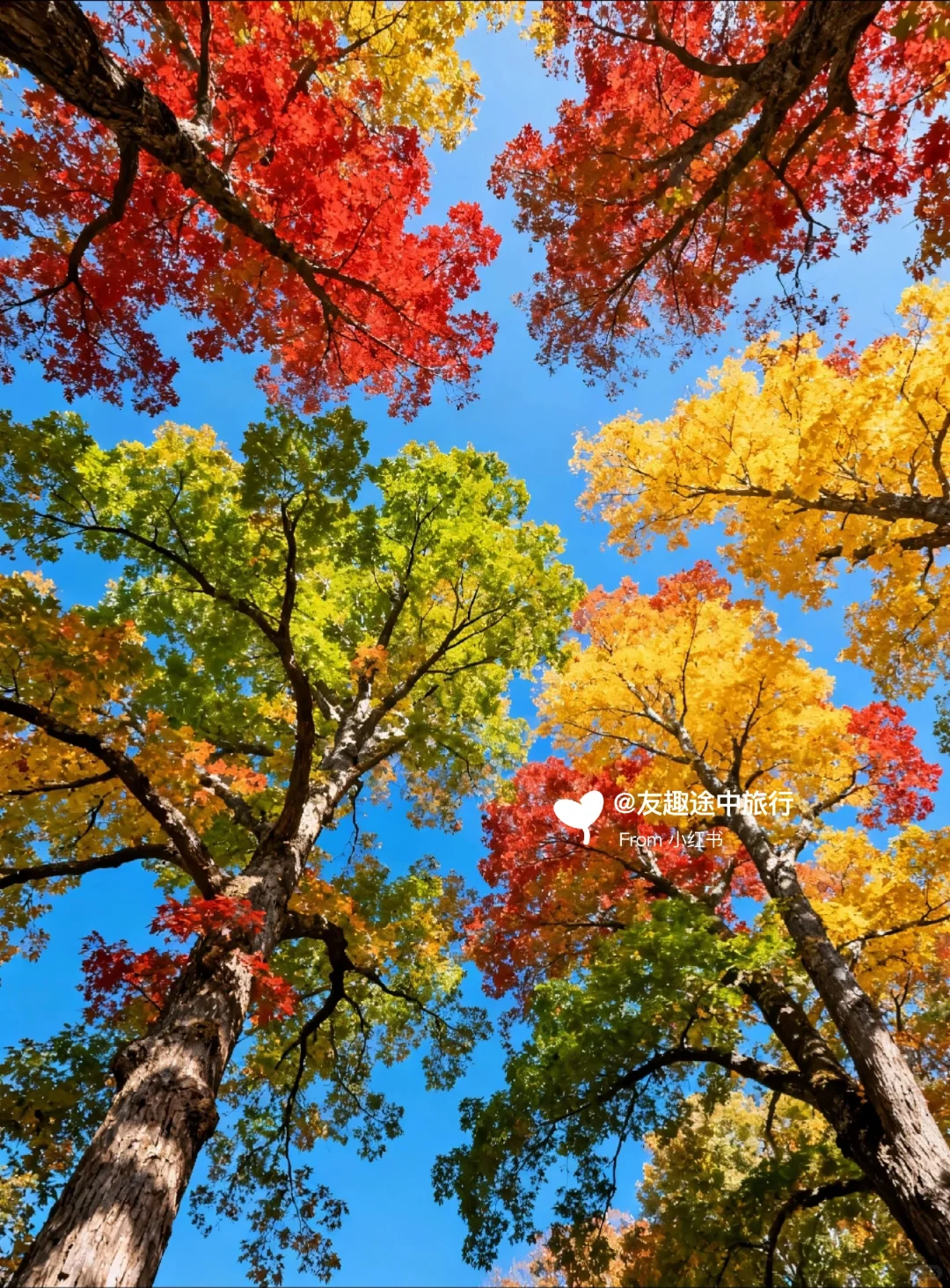 我私藏最美9条江浙沪赏秋路线🍂没有平替